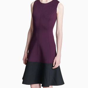 Calvin Klein Colorblock Fit and Flare Dress